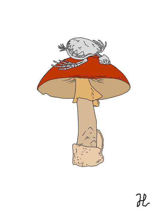 Death cap kritters turtle - Hat and  Skull Art 
