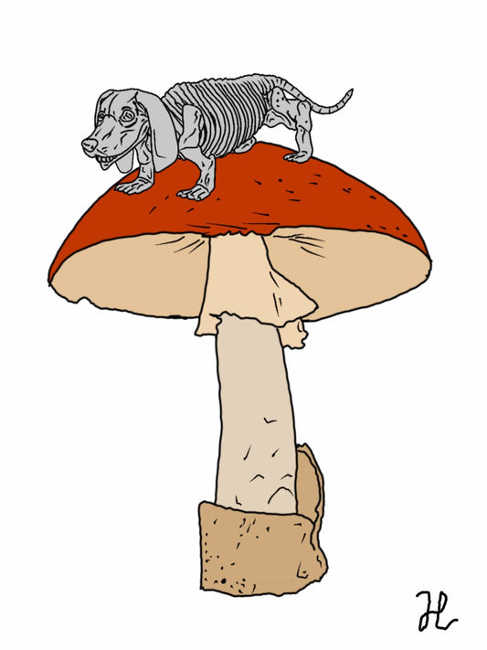 Death cap kritters dachshund - Hat and  Skull Art 