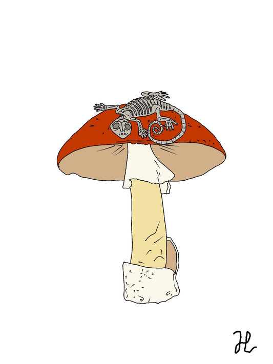 Death cap kritters gecko - Hat and  Skull Art 