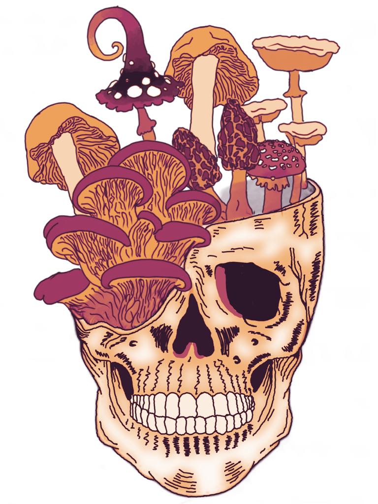Growth n Decay